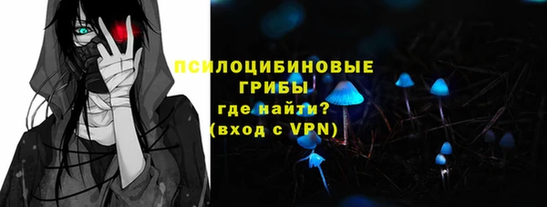 сатива Алзамай