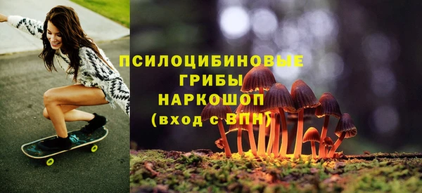 стаф Абинск