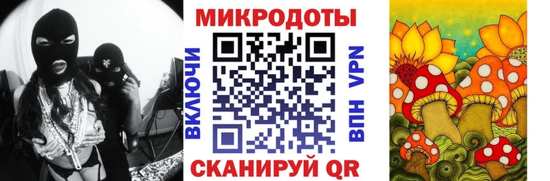 Псилоцибиновые грибы Cubensis  Моздок 