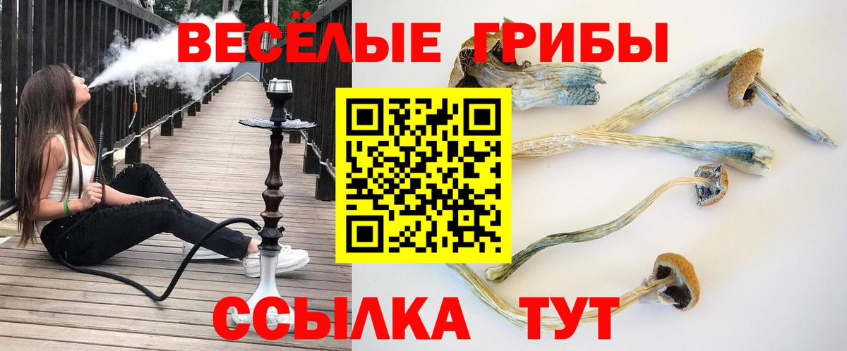 Моздок  купить наркоту  Вход с VPN  Галлюциногенные грибы прущие грибы 